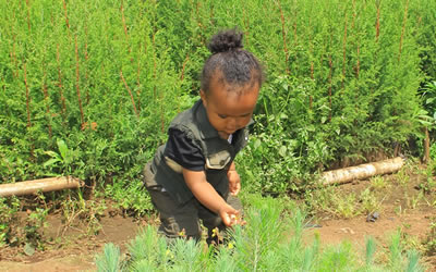 gaceeri – dedan kimathi foundation