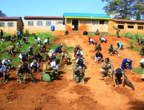 Dedan Kimathi Foundation Tree Growing Frenzy