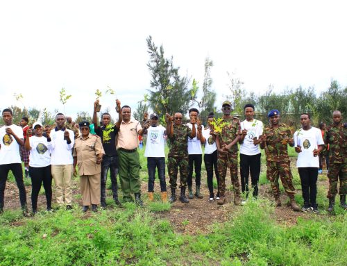 DKF and  KDF Tree Growing in Kamulu – Nairobi