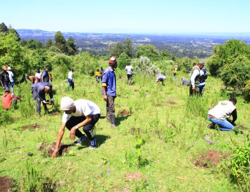 Adopt a Tree Initiative – Laikipia Edition