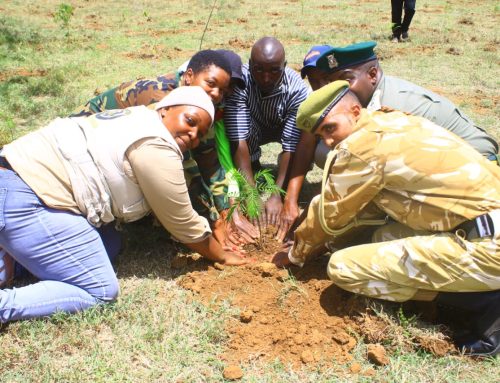 DKF Participates in the International Day of Forests 2025