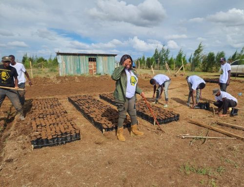 Celebrating Our Environmental Conservation teams’ Efforts