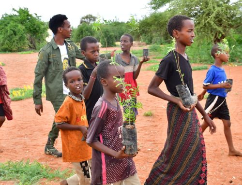 Beyond Water Challenges, Tree Growing Triumphs in Wajir County