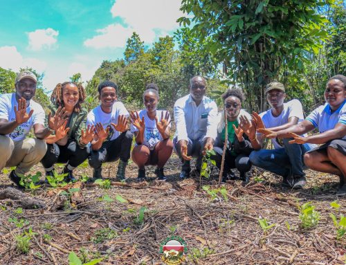 Meru Environmental Week Culmination