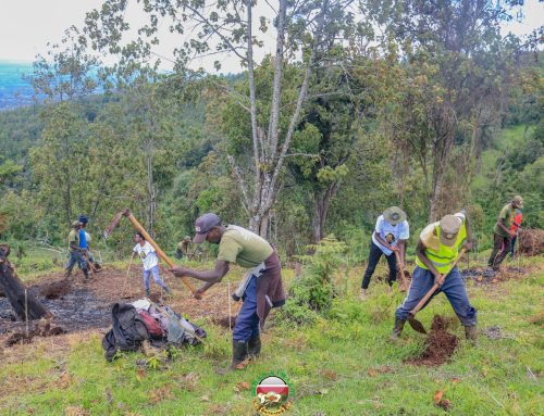 A Multi-County Commitment to Environmental Restoration