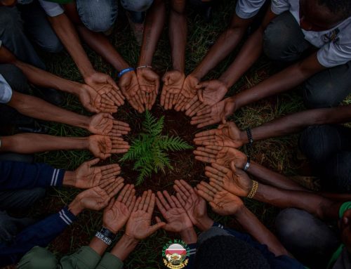 Tharaka Nithi ‘Adopt a Tree’ Continues
