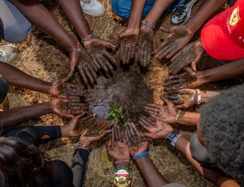 Beyond The Seemingly ‘Fancy’ Tree Planting Activities