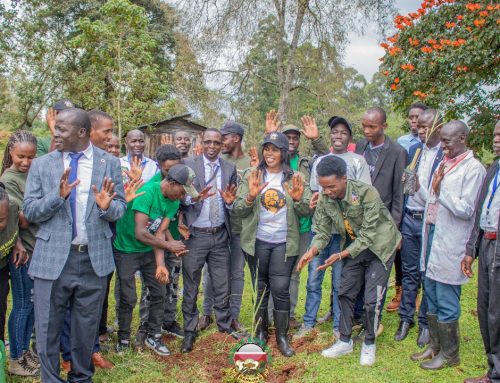 Dedan Kimathi Foundation Honors Promise with Bamboo Donation to University of Kabianga