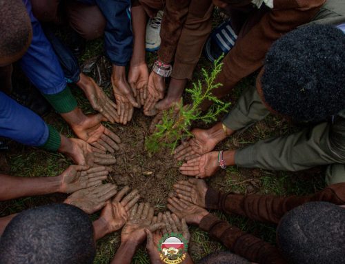 Adopt A Tree For Heroes : Kakamega County Edition