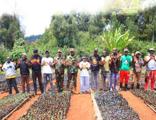 Strengthening Conservation Bonds