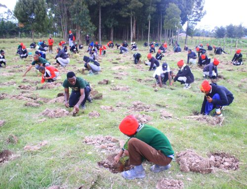 Honoring Dedan Kimathi’s Legacy by Planting Trees