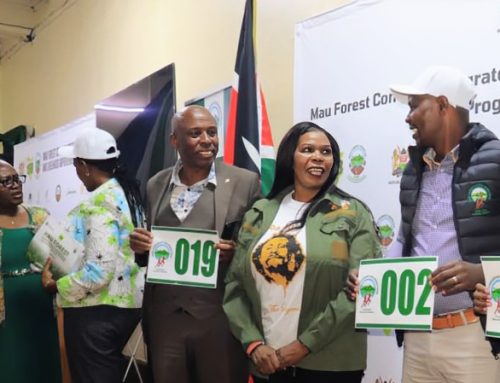Linda Mau, Boresha Maisha | Restoring the Lungs of MAU
