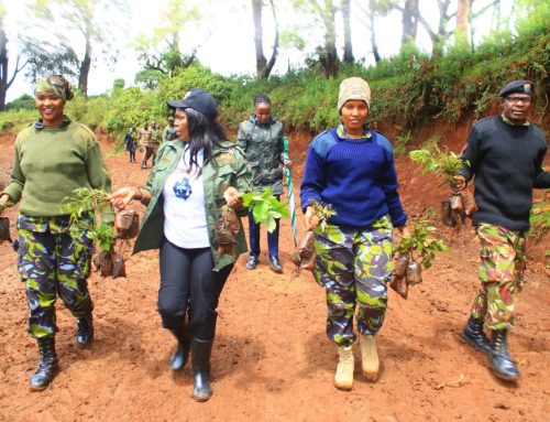 Honoring a Hero, Protecting Our Planet | DKF’s 10,000 Tree Tribute to Field Marshal Dedan Kimathi