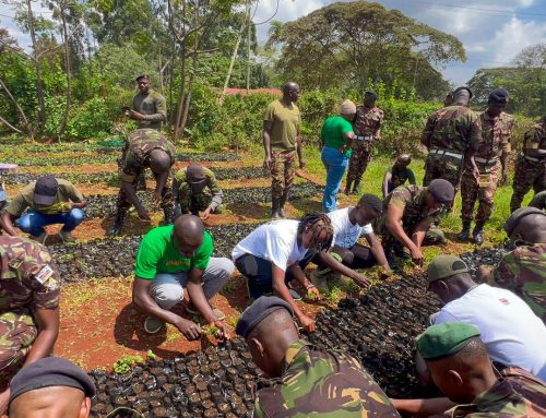 Growing a Greener Future Together, A Strong Partnership with Kahawa Barracks School of Transport