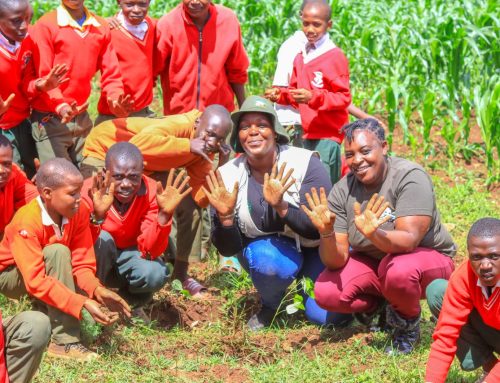 Adopt a Tree – Trans-Nzoia County Edition 