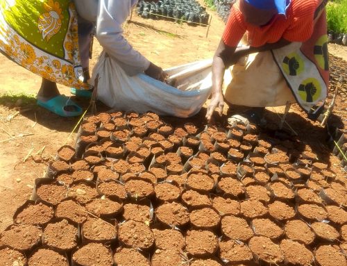 Laikipia Women Sowing Seeds of Resilience